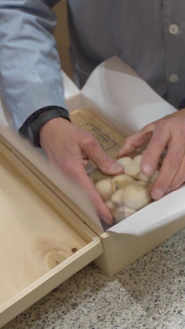 Endolcim la teva sorpresa amb diferents opcions de regal: des dels tradicionals lots, a la preparació de servei d'àpats dolços de Nadal o d'obsequis personalitzats. 🎀 
Tenim experiència en regals per a col·lectius i esdeveniments. Consulta tota la informació a la nostra web ➡ www.planellesdonat.com/esdeveniments

Endulzamos tu sorpresa con diferentes opciones de regalo: desde los tradicionales lotes a la preparación de catering dulce de Navidad o de obsequios personalizados. 🎀
Tenemos experiencia en regalos para colectivos y eventos. Consulta toda la información en nuestra web ➡ www.planellesdonat.com/es/eventos

#planellesdonat #turrones #torrons #xixona #torronsplanellesdonat #jijona #nougat #dulces #almendra #avellana #polvorones #peladillas #yemas #tortas #chocolate #emblematicsbarcelona #foodiesbarcelona #gastronomia #alimentacionsaludable #portadelangelbcn #planesbarcelona #ventaonline #tiendaonline